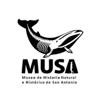 Partners Musea De San Antonio