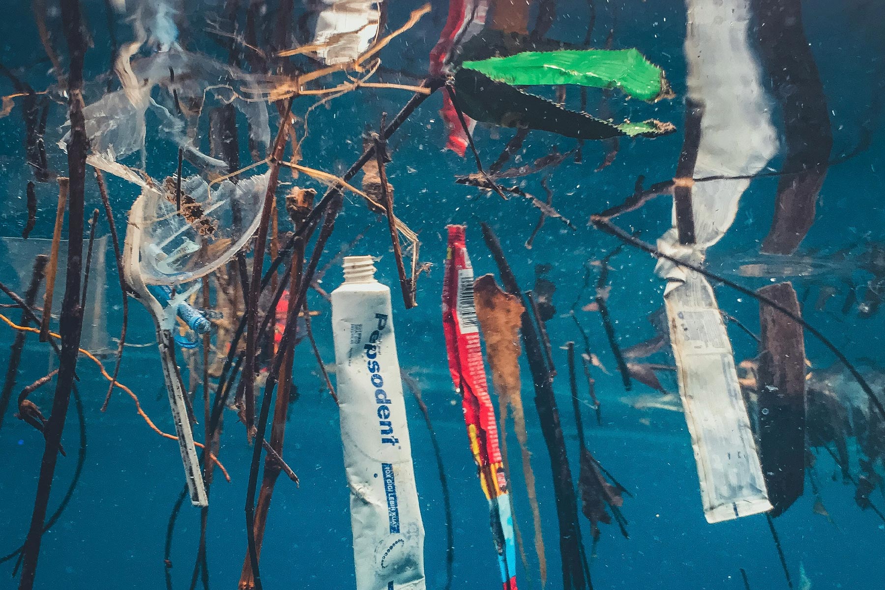 Think Ocean Reduce Plastic Charity Mission