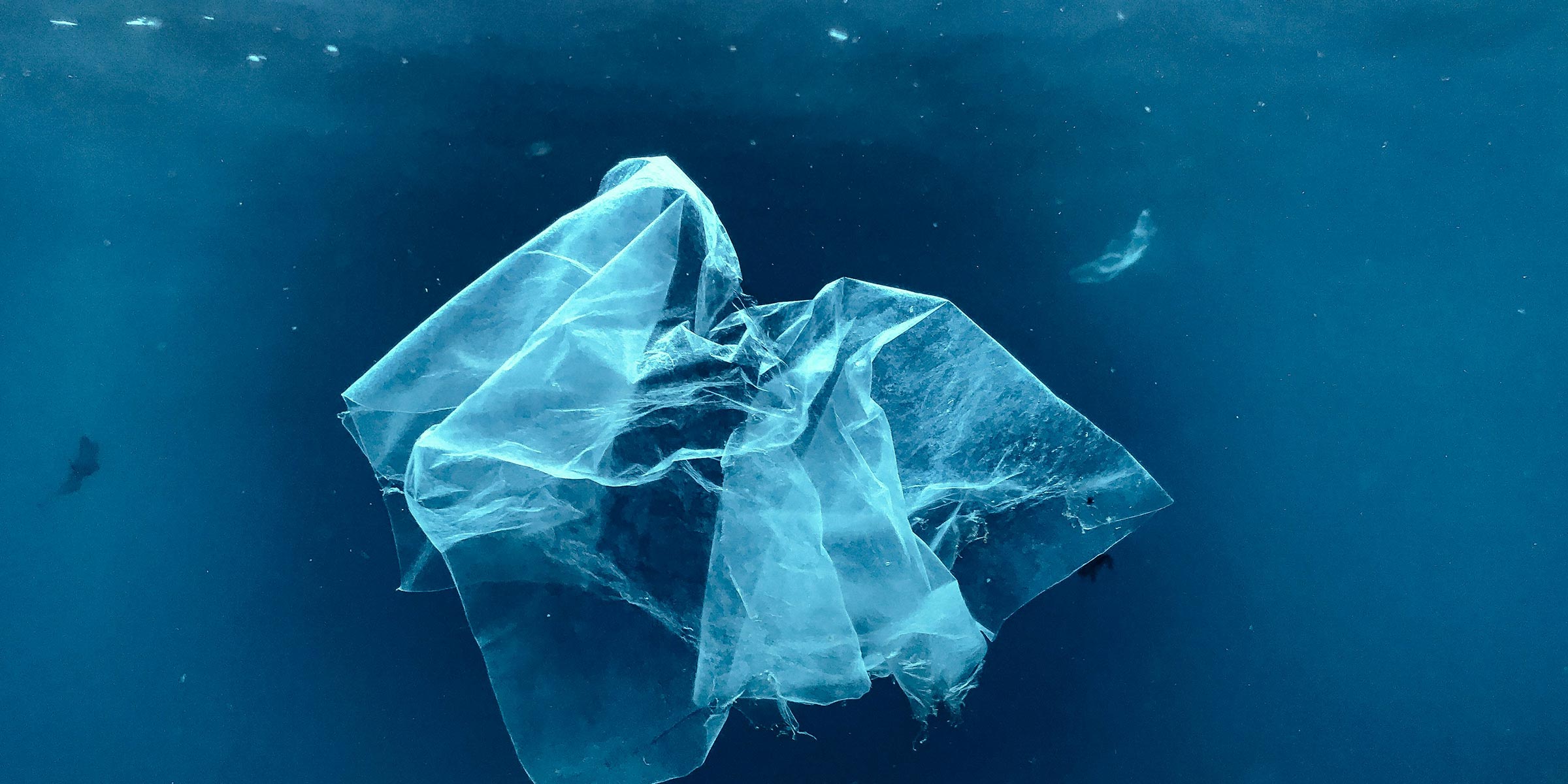 Think Ocean Rescue Ocean Plastic Collection