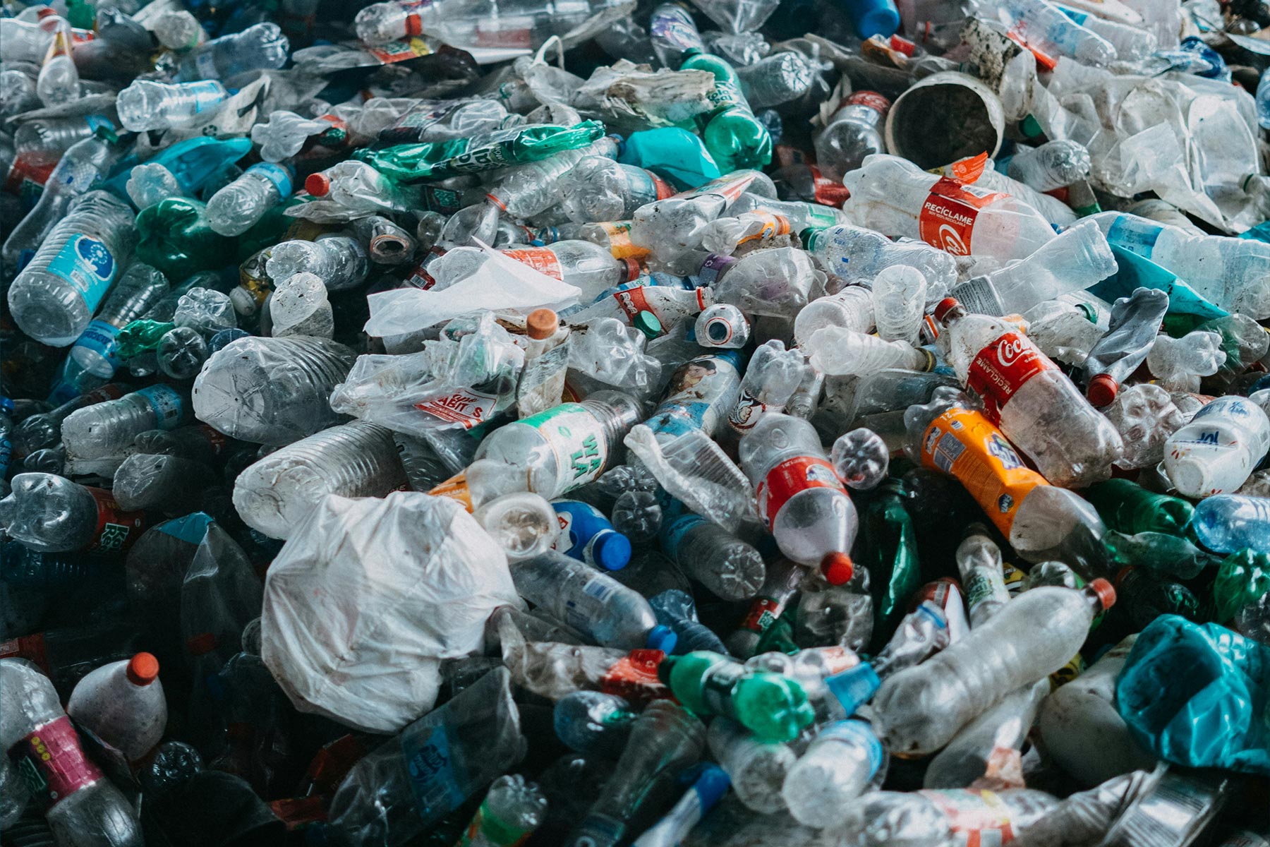 Think Ocean Save Oceans Charity Mission