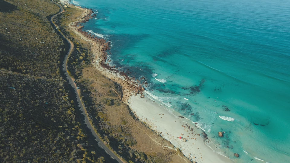 Protecting Planet Support TShirts Hoodies Bags